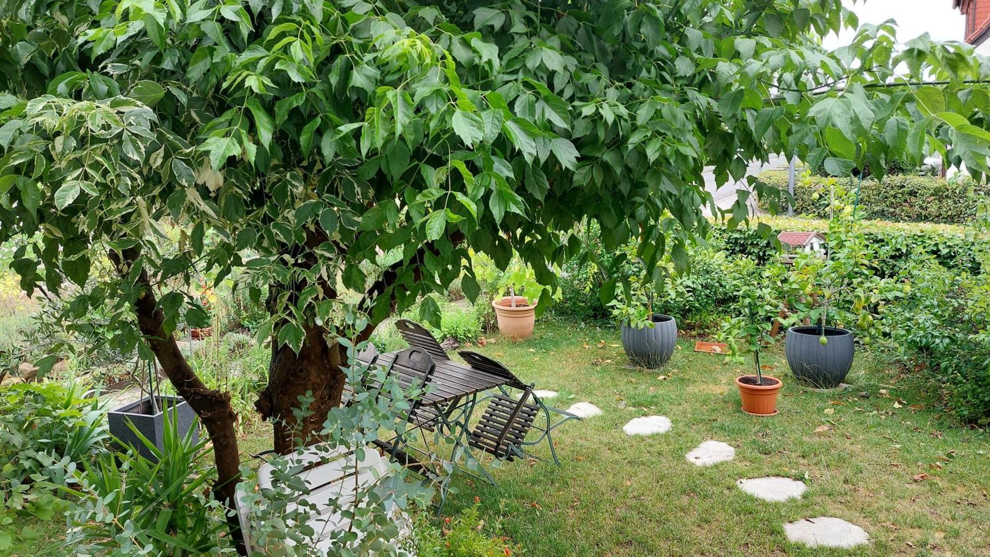 Villa Lotte Lichtenfels  Luaran gambar